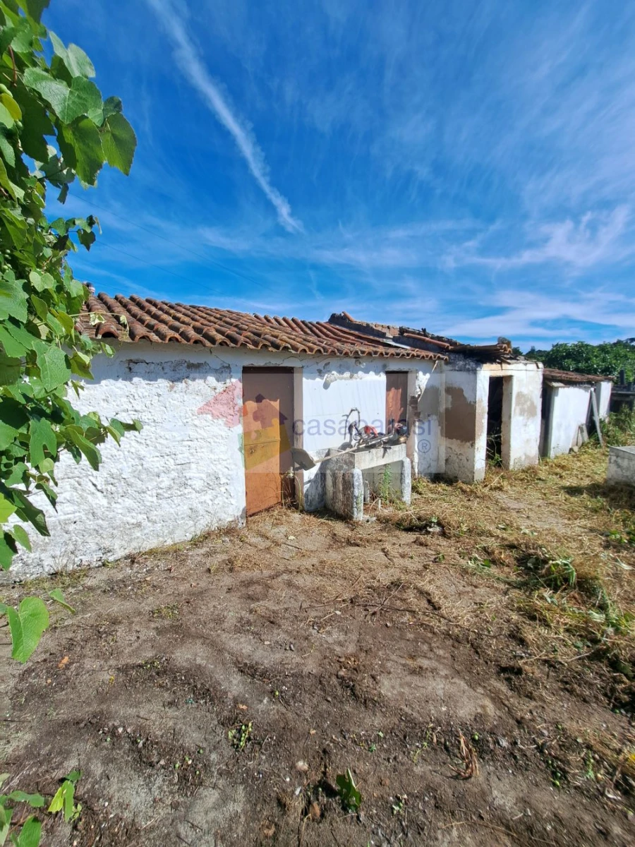 Quinta T3 para Venda em Ponte de Sor, Tramaga e Vale de Açor Foto 2