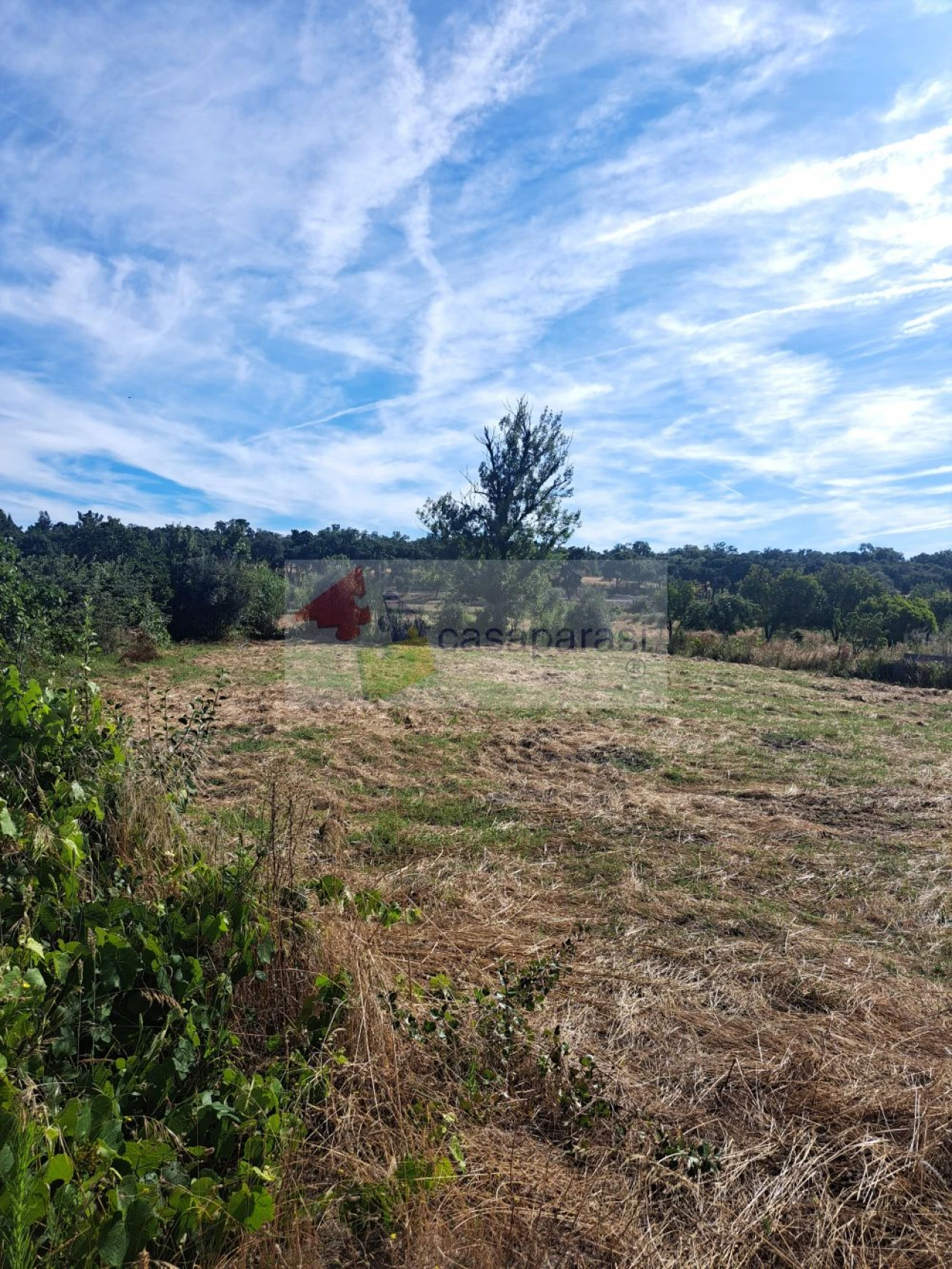 Quinta T3 para Venda em Ponte de Sor, Tramaga e Vale de Açor Foto 4