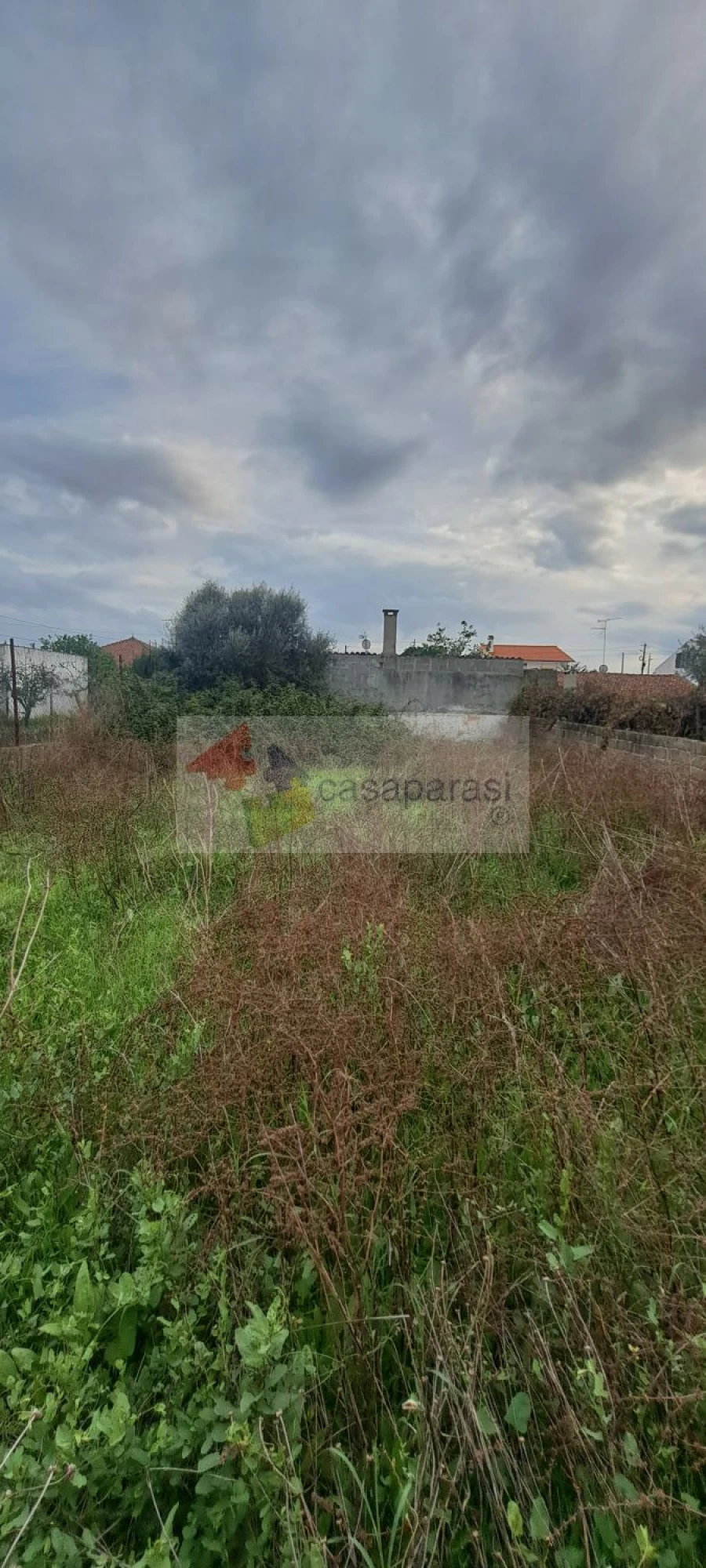 Moradia T3 para Venda em Pego Foto 6