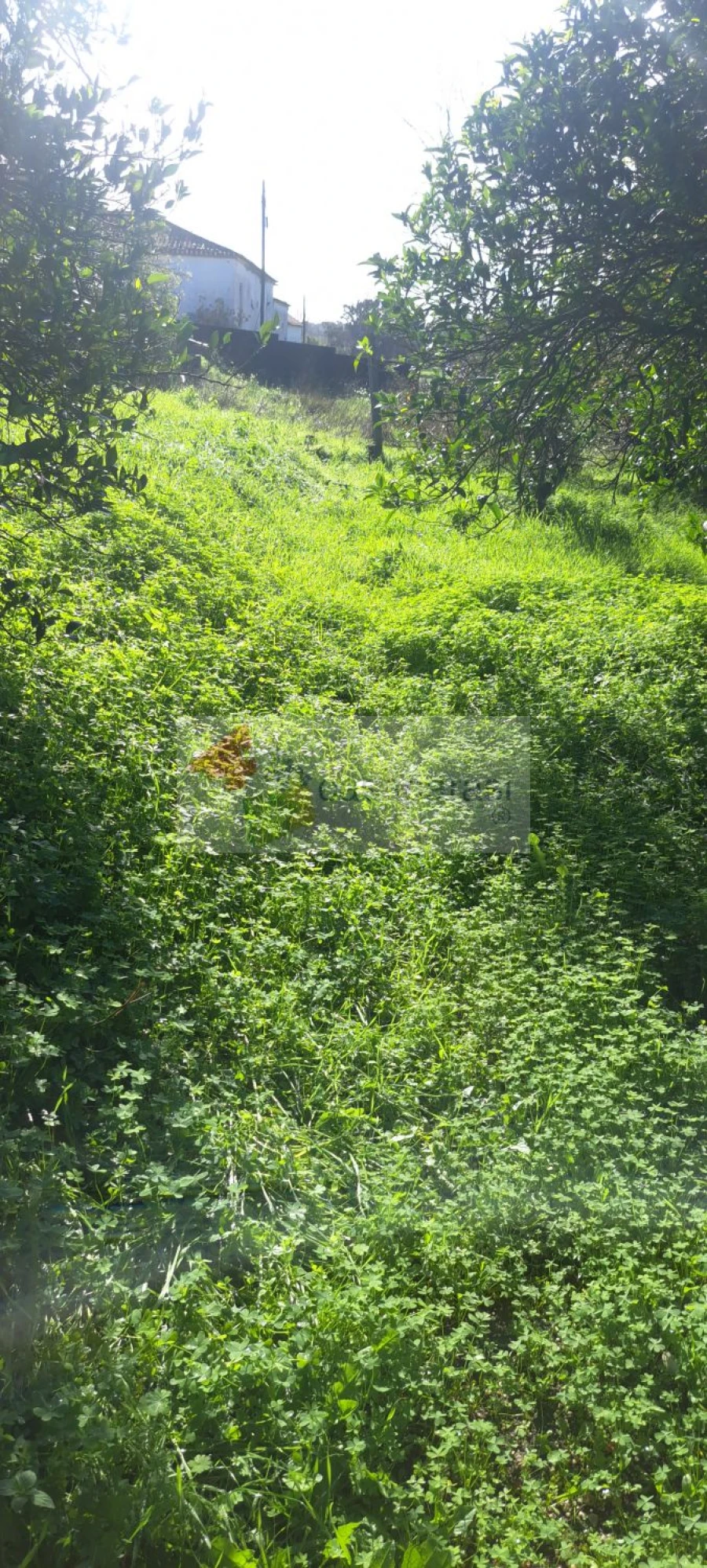 Moradia T2 para Venda em Margem Foto 10