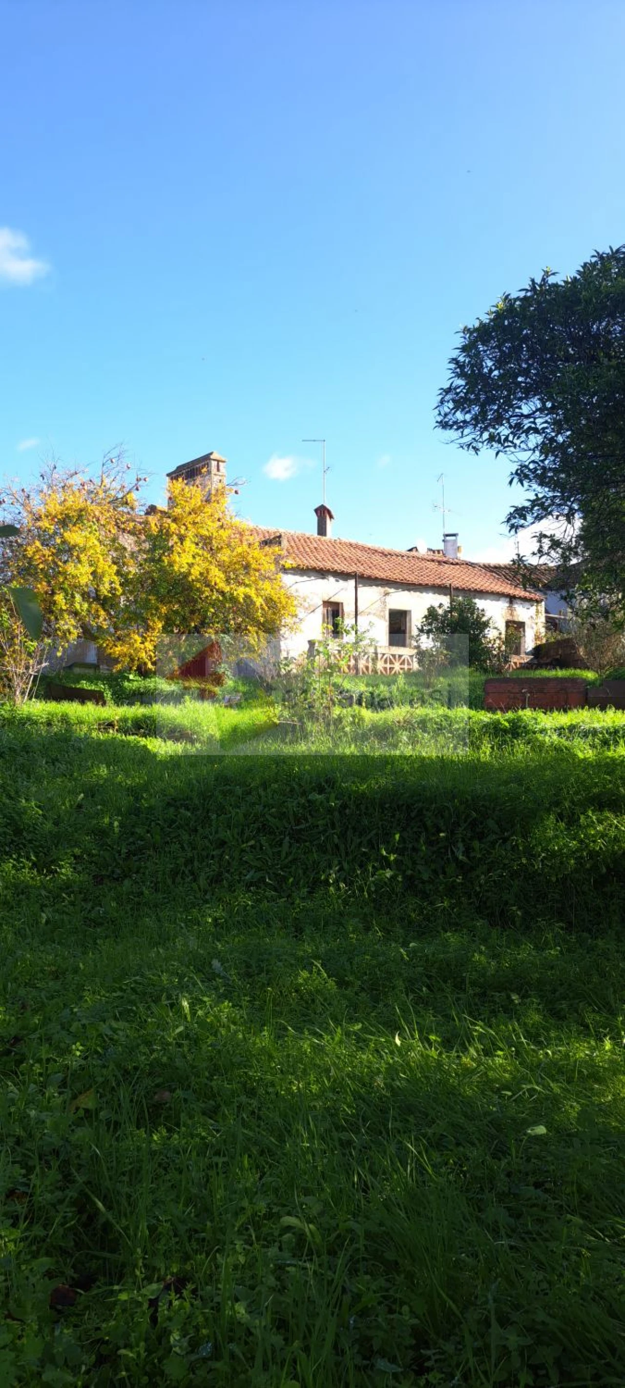 Moradia T2 para Venda em Margem Foto 5