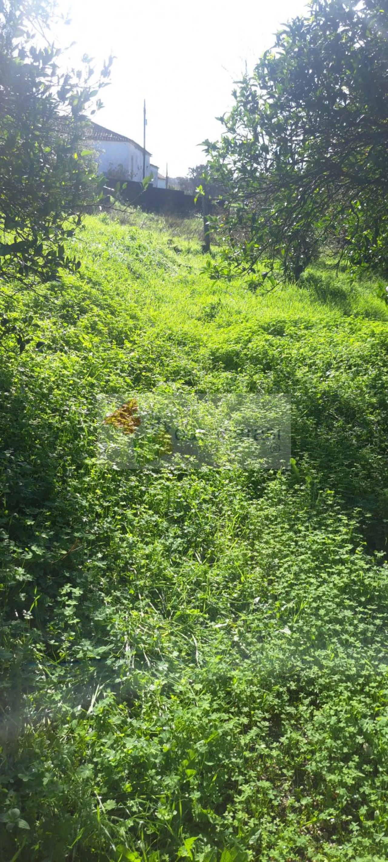 Moradia T2 para Venda em Margem Foto 10