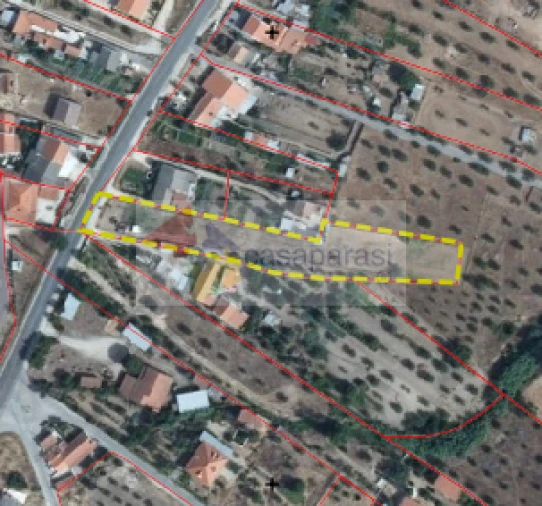 Terreno para Venda em Ponte de Sor, Tramaga e Vale de Açor Foto 2