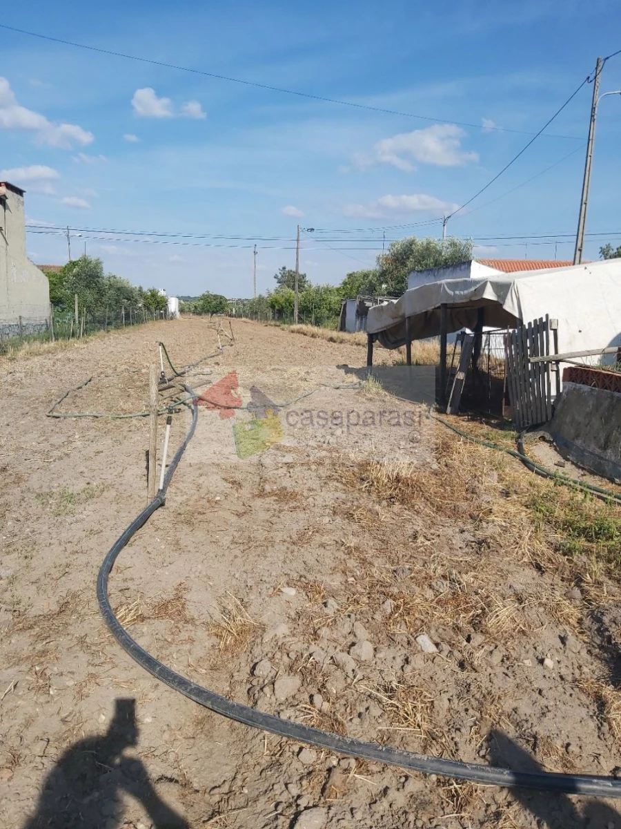 Terreno para Venda em Ponte de Sor, Tramaga e Vale de Açor Foto 2