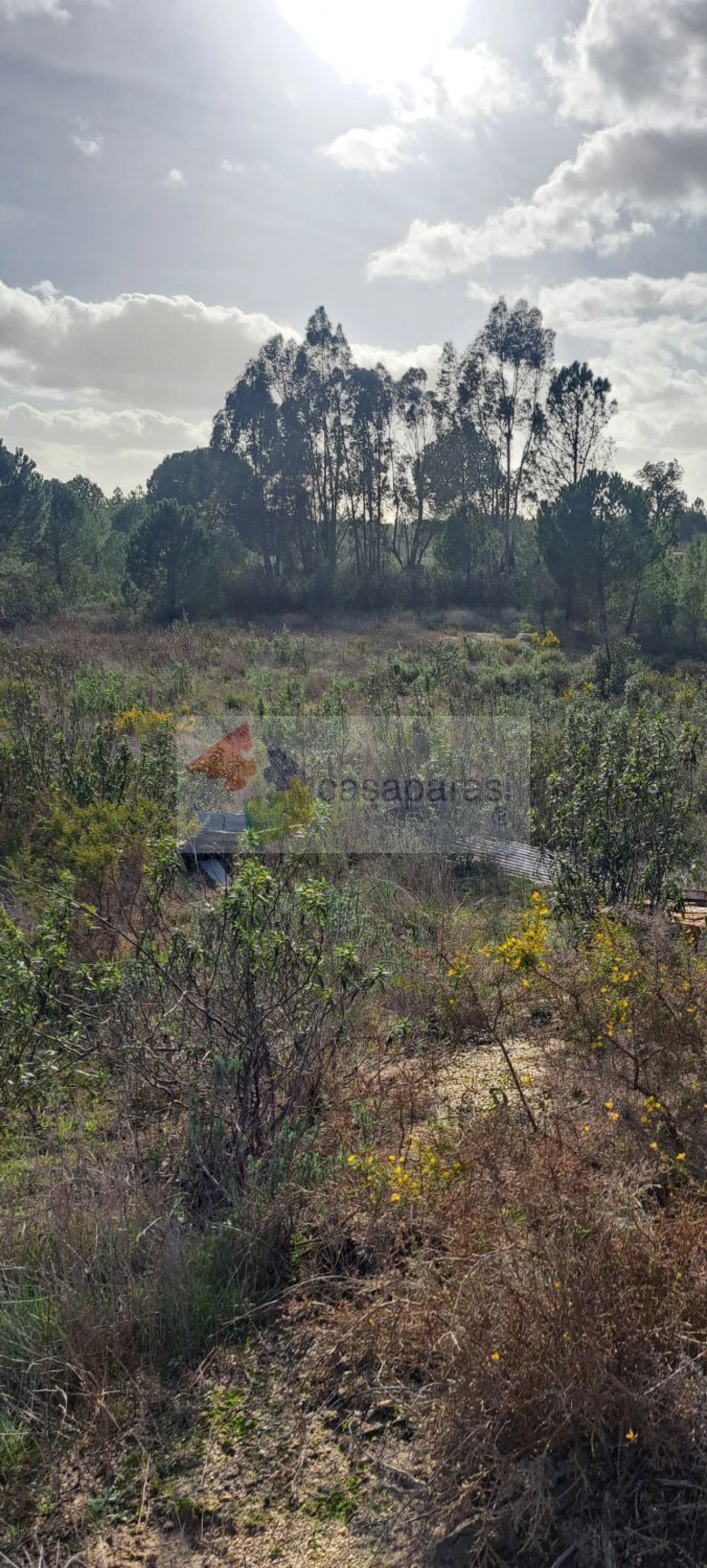 Moradia T2 para Venda em Galveias Foto 13