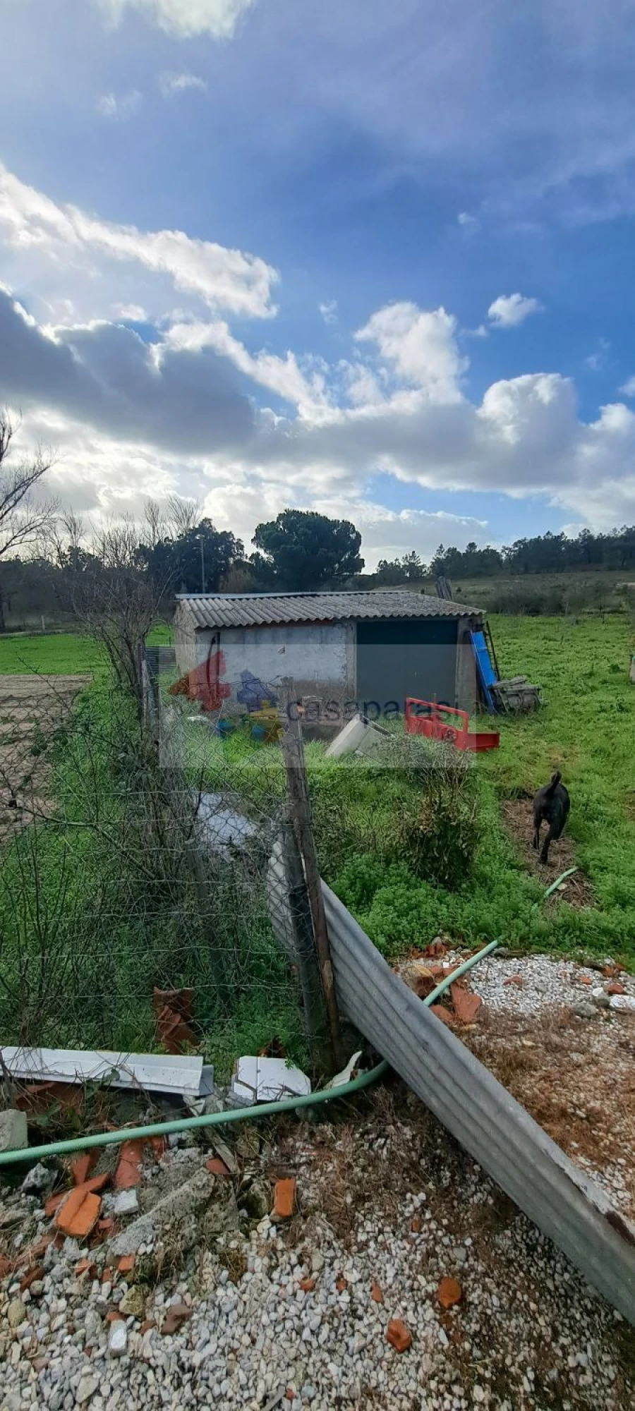 Moradia T2 para Venda em Galveias Foto 11