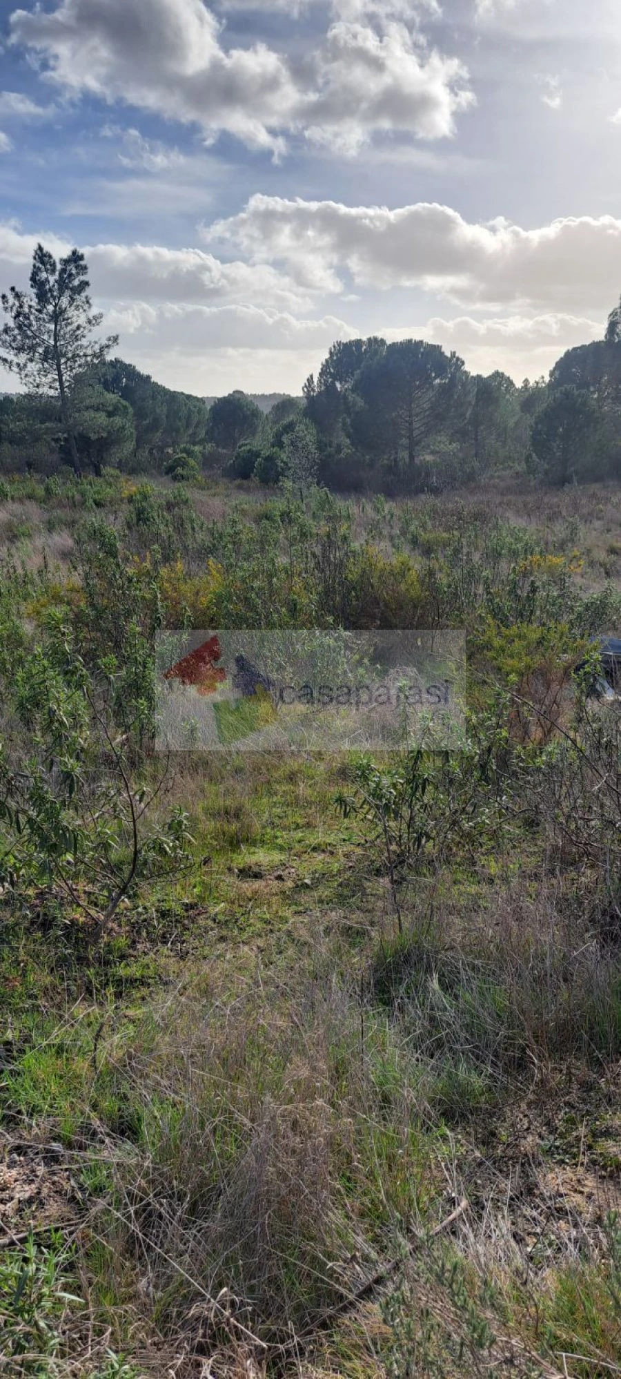 Moradia T2 para Venda em Galveias Foto 14