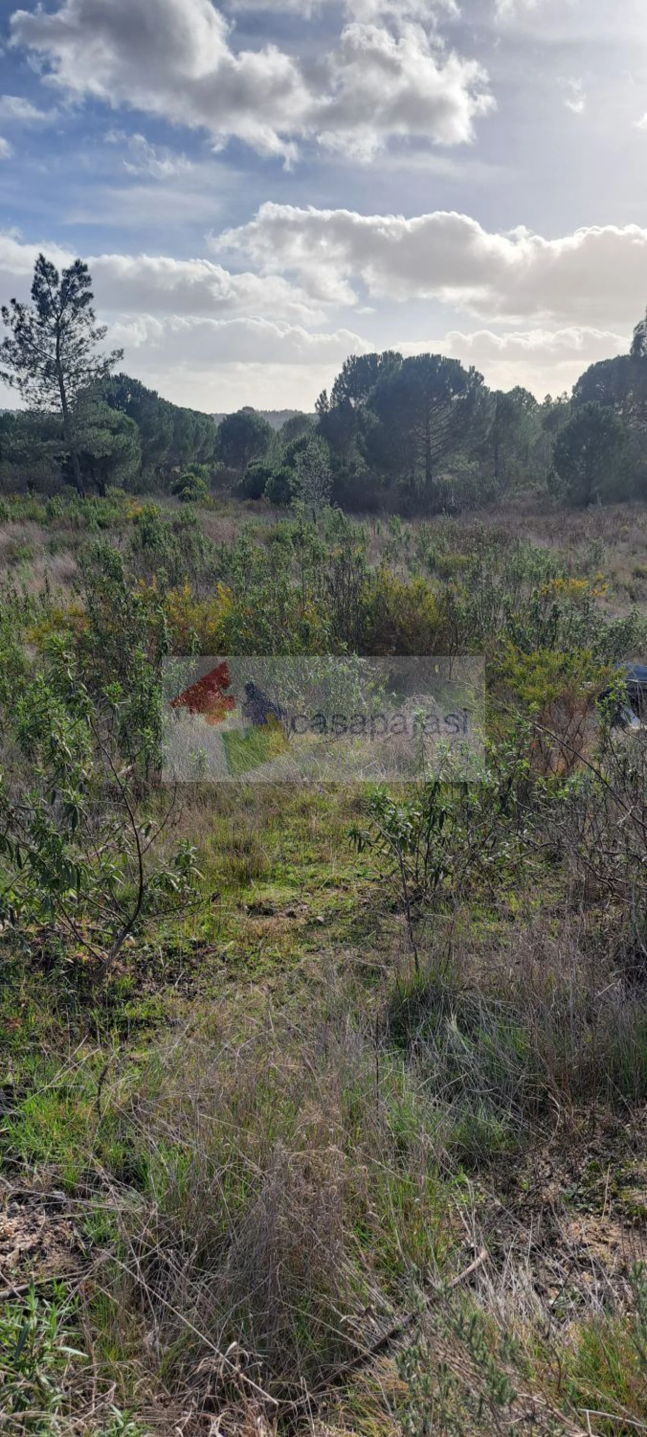 Moradia T2 para Venda em Galveias Foto 14