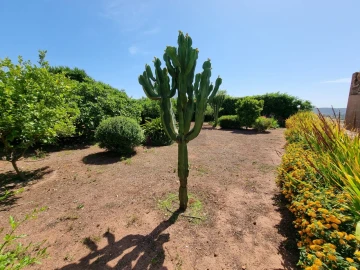 Moradia T3 para Venda em Silves