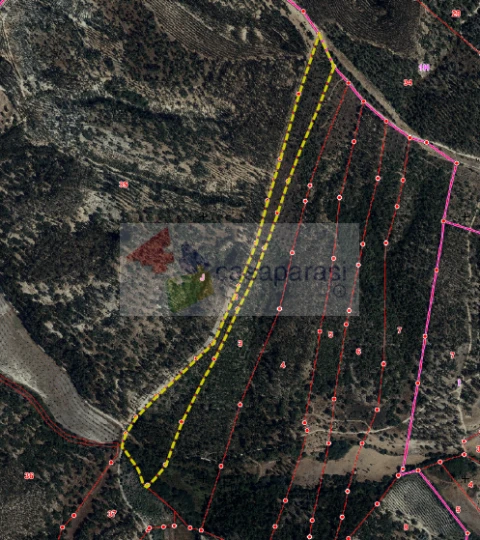 Terreno para Venda em Bemposta