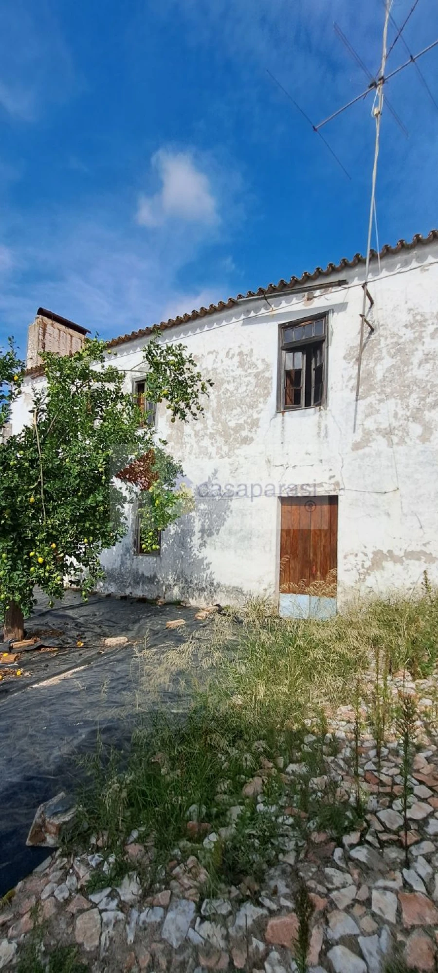 Moradia T4 para Venda em Benavila e Valongo Foto 4