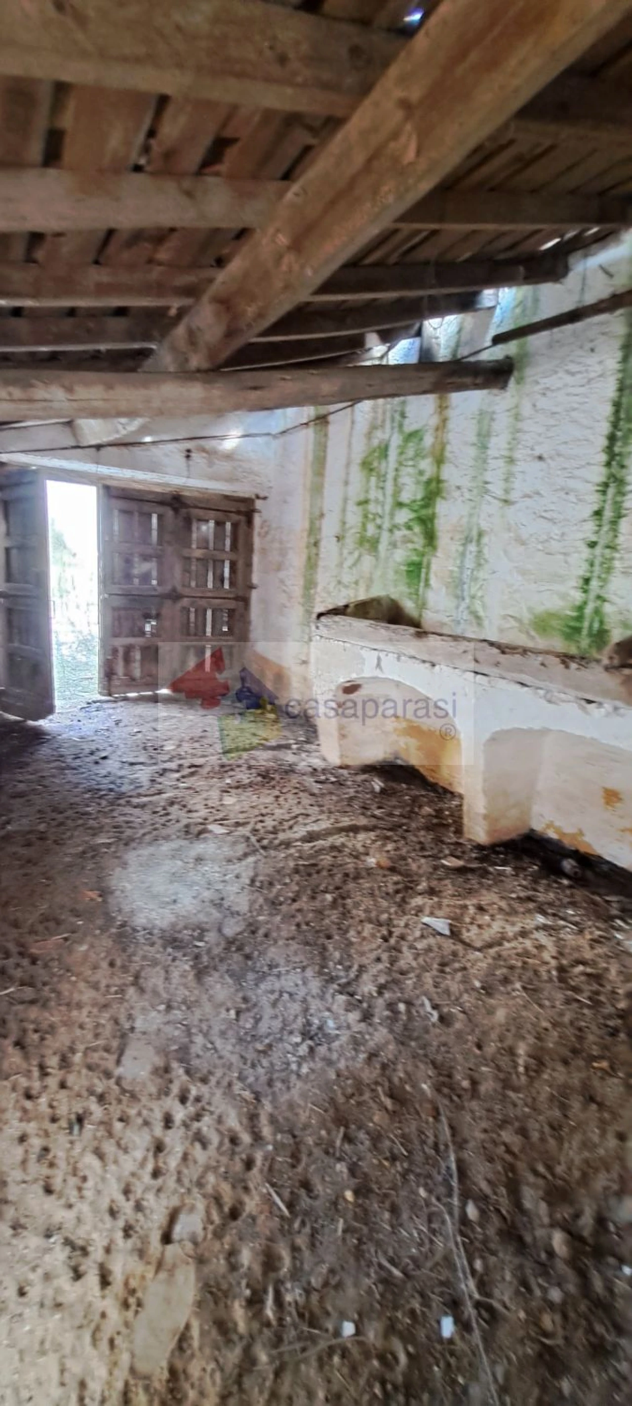 Moradia T4 para Venda em Benavila e Valongo Foto 6