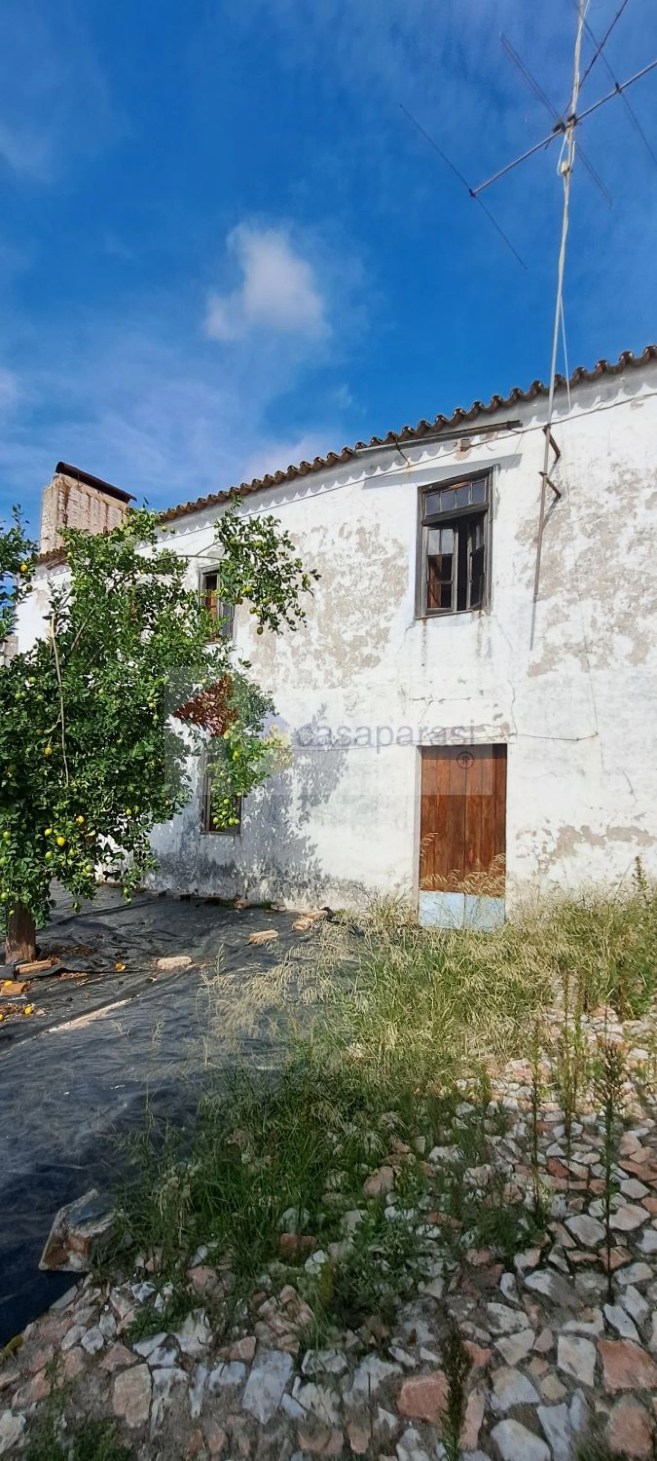 Moradia T4 para Venda em Benavila e Valongo Foto 4