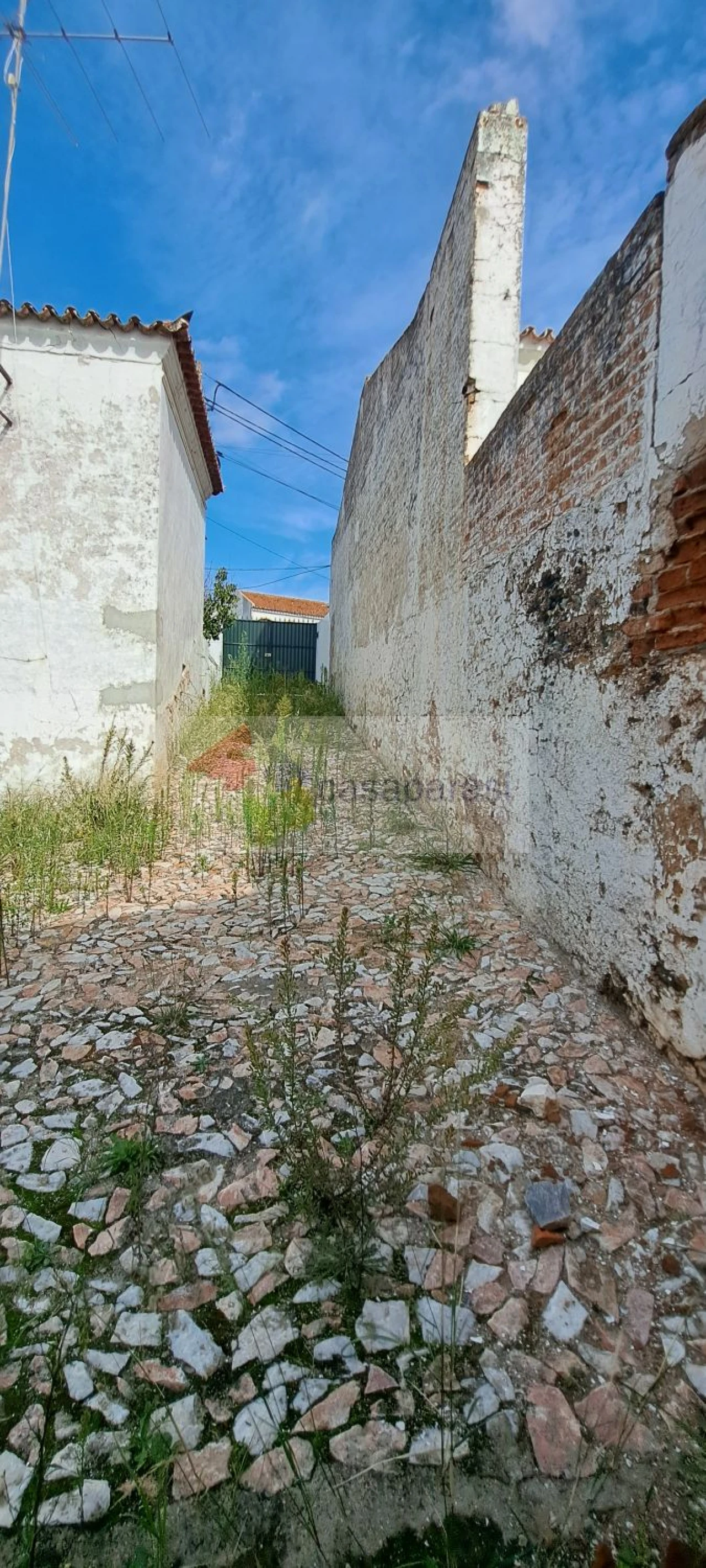 Moradia T4 para Venda em Benavila e Valongo Foto 5