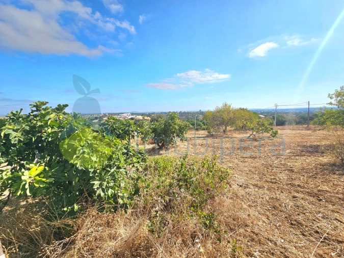 Moradia T3 para Venda em Armação de Pera Foto 11