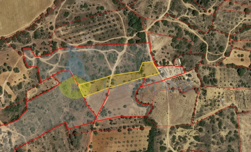 Terreno Agricola ou Rústico para Venda em Alcantarilha e Pêra Foto 1