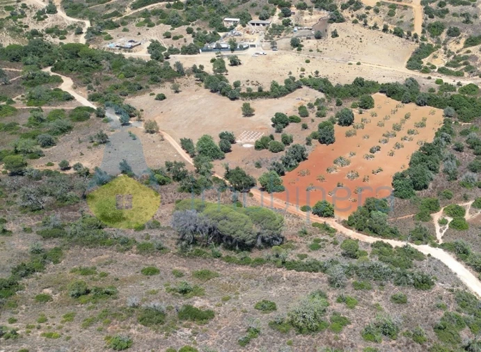 Terreno Agricola ou Rústico para Venda em Alcantarilha e Pêra Foto 3