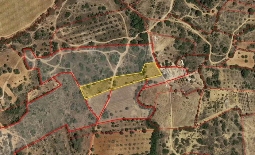 Terreno Agricola ou Rústico para Venda em Alcantarilha e Pêra Planta 1