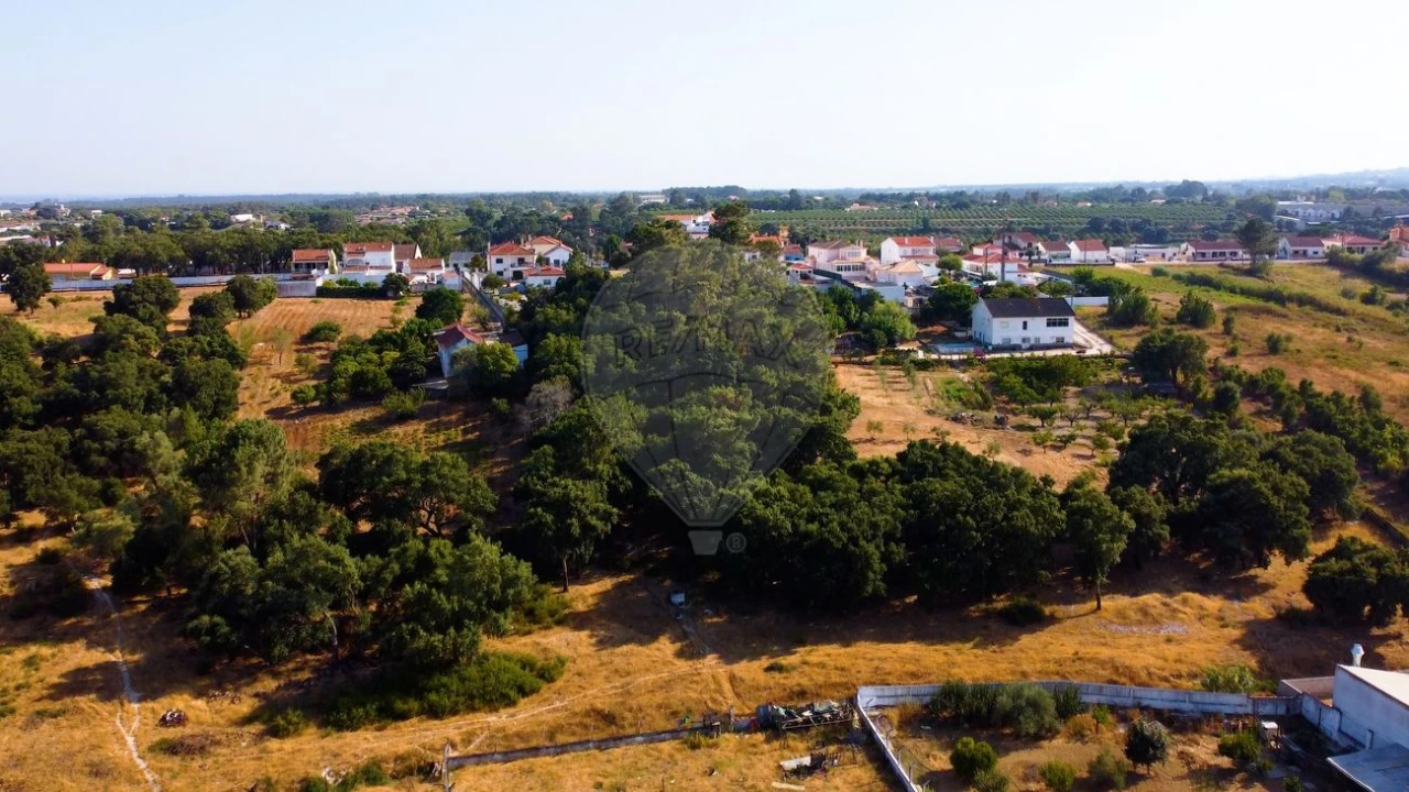 Terreno para Venda em Cartaxo e Vale da Pinta Foto 3