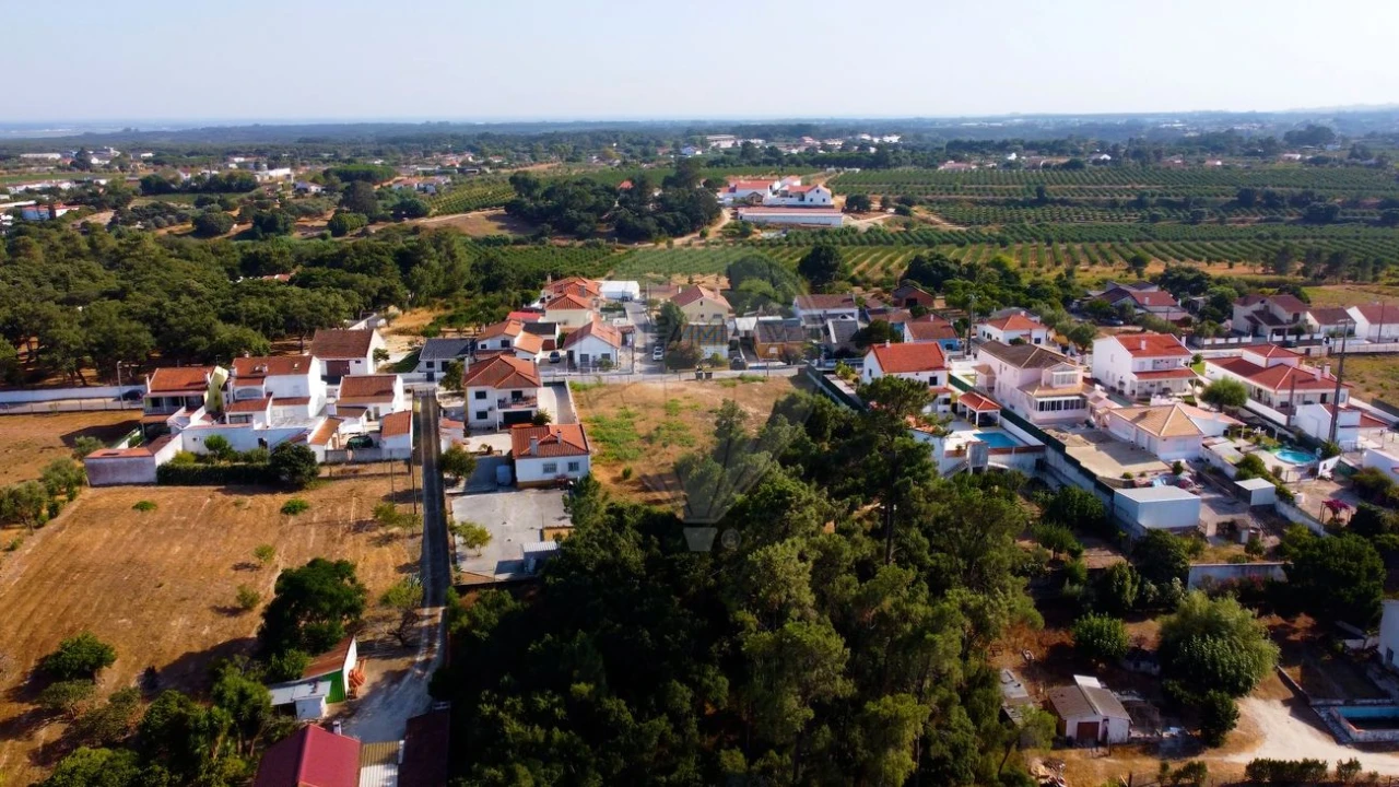 Terreno para Venda em Cartaxo e Vale da Pinta Foto 8
