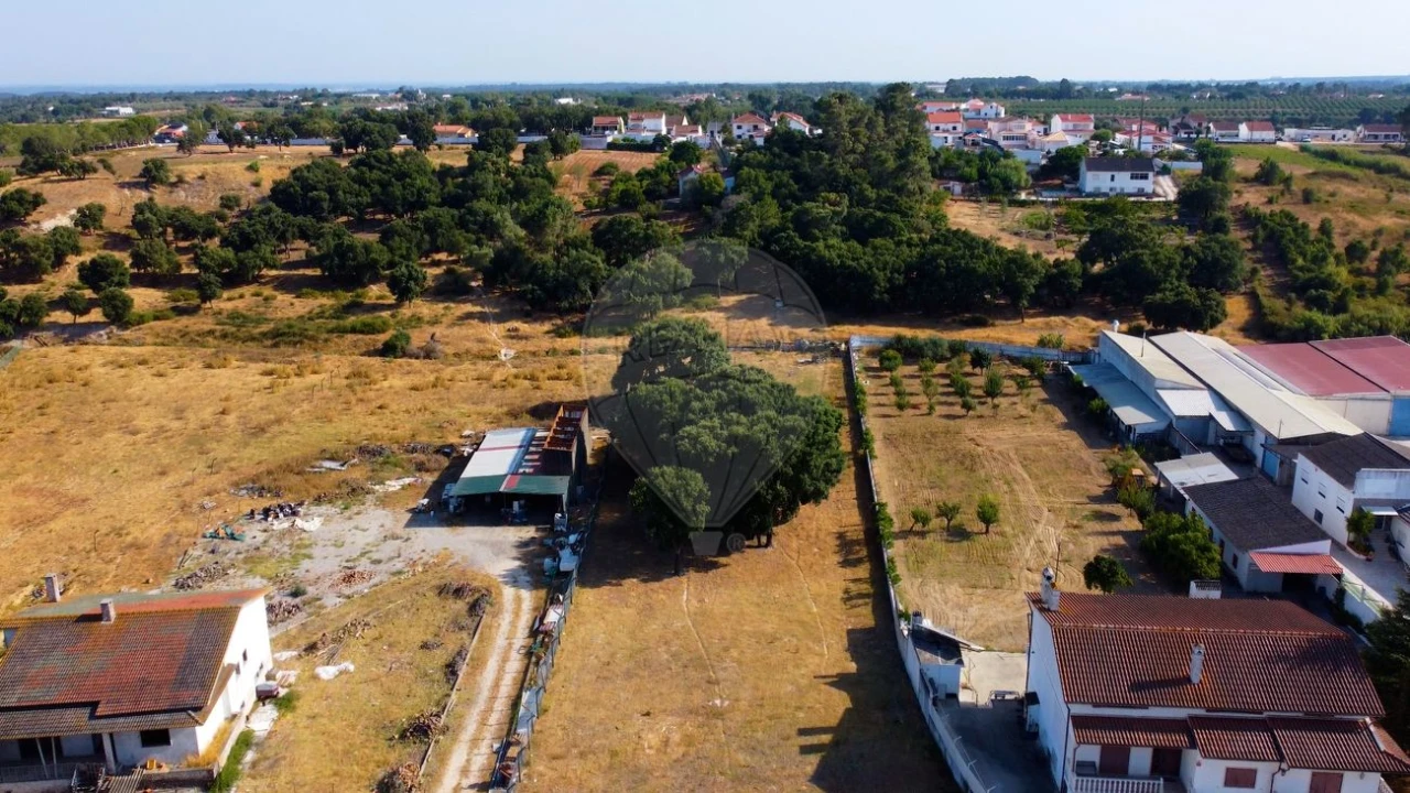 Terreno para Venda em Cartaxo e Vale da Pinta Foto 7