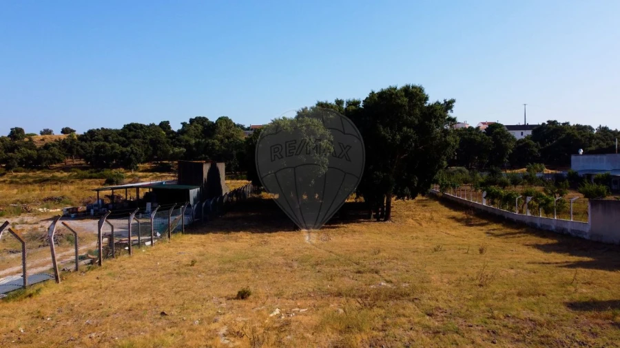 Terreno para Venda em Cartaxo e Vale da Pinta Foto 6