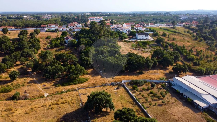 Terreno para Venda em Cartaxo e Vale da Pinta Foto 4