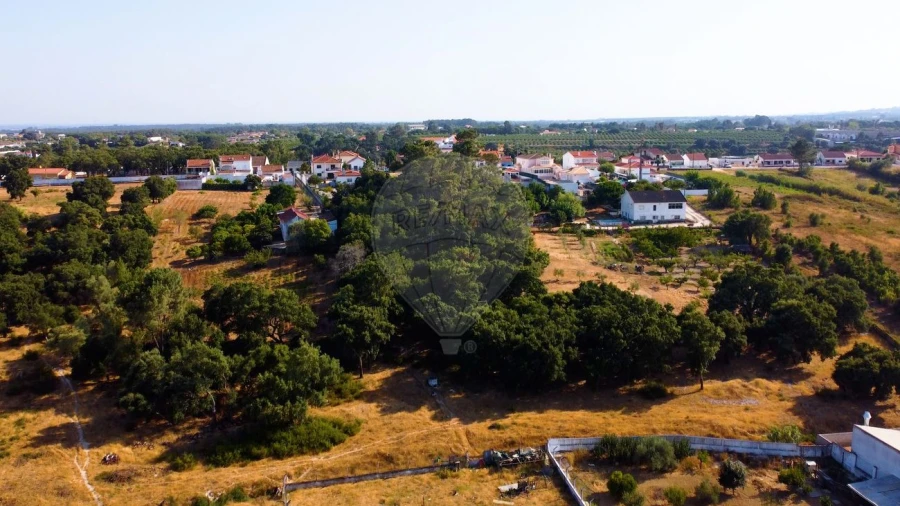 Terreno para Venda em Cartaxo e Vale da Pinta Foto 3