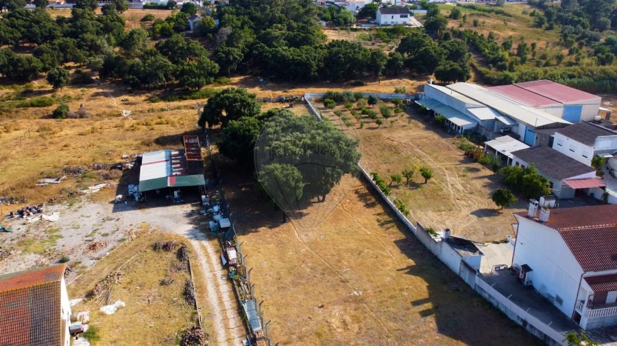 Terreno para Venda em Cartaxo e Vale da Pinta Foto 9
