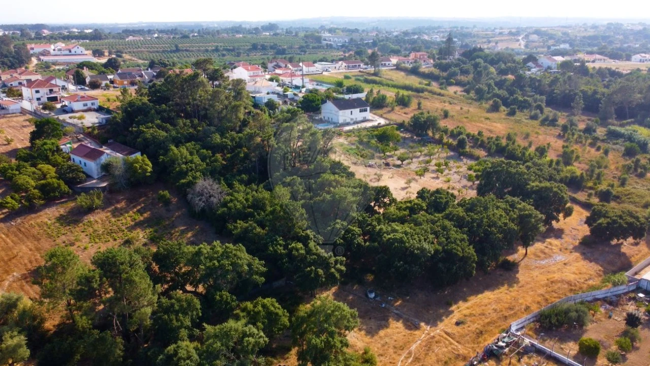 Terreno para Venda em Cartaxo e Vale da Pinta Foto 5