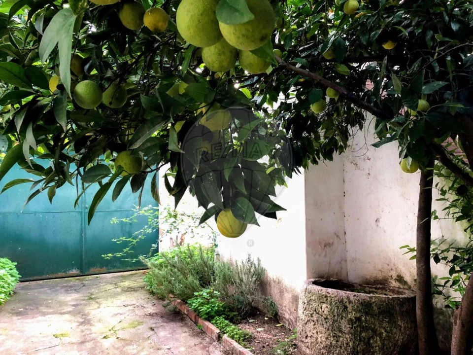 Moradia T2 para Arrendamento em Chamusca e Pinheiro Grande Foto 21