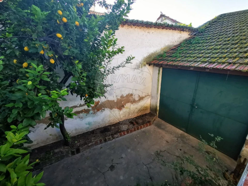 Moradia T2 para Arrendamento em Chamusca e Pinheiro Grande Foto 24