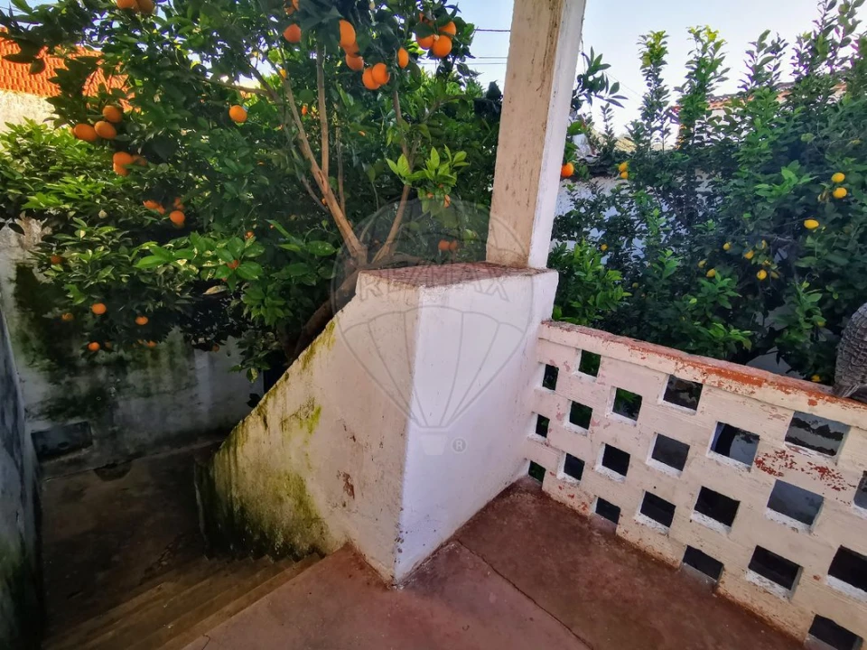 Moradia T2 para Arrendamento em Chamusca e Pinheiro Grande Foto 23