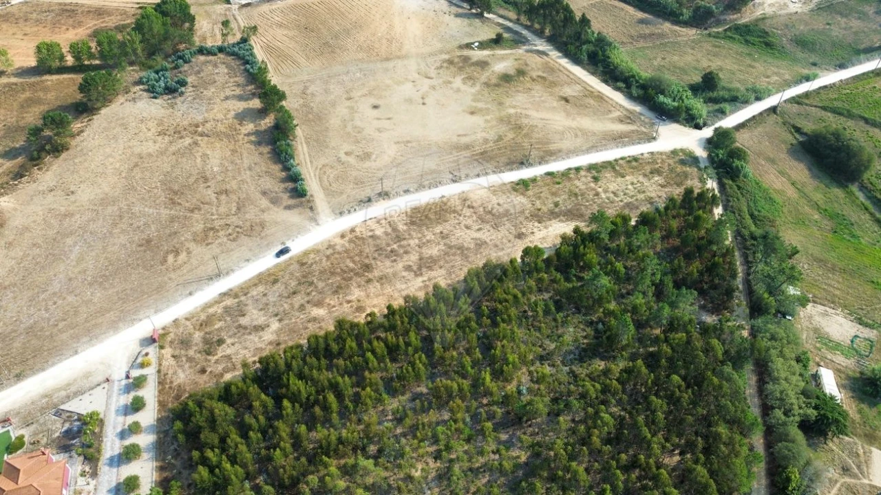 Terreno para Venda em Silveira Foto 9