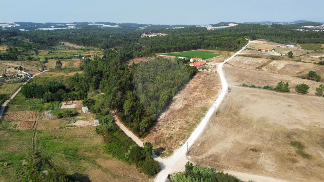 Terreno para Venda em Silveira Foto 4