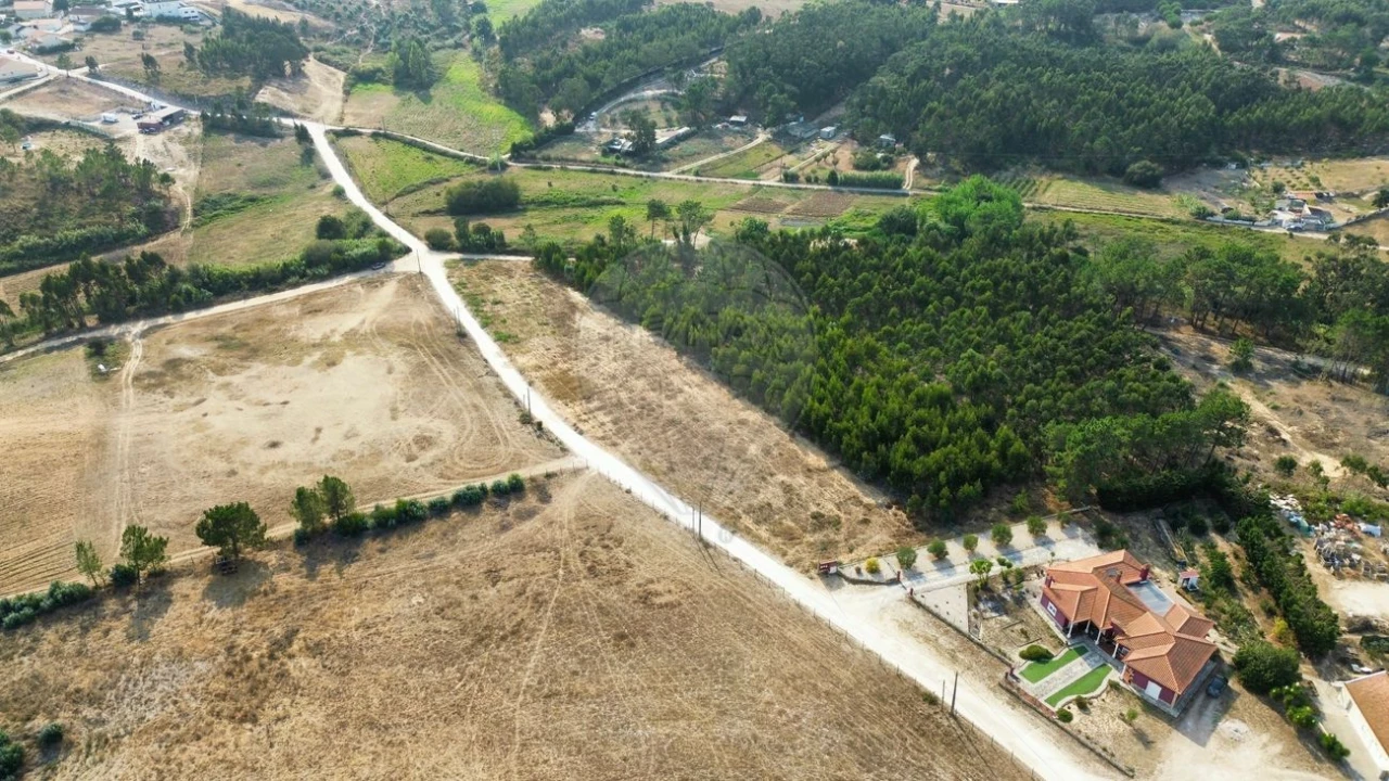 Terreno para Venda em Silveira Foto 2