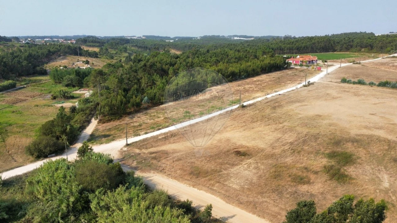Terreno para Venda em Silveira Foto 1