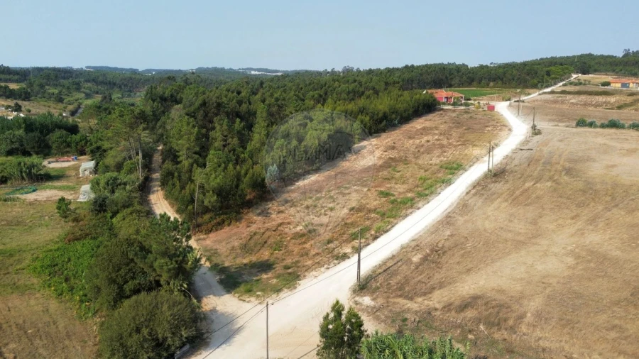 Terreno para Venda em Silveira Foto 7