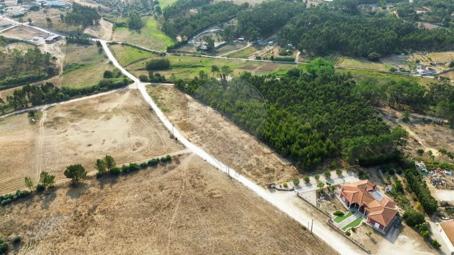 Terreno para Venda em Silveira Foto 2