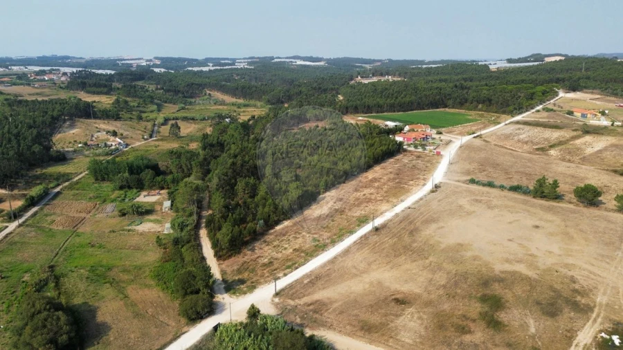 Terreno para Venda em Silveira Foto 5