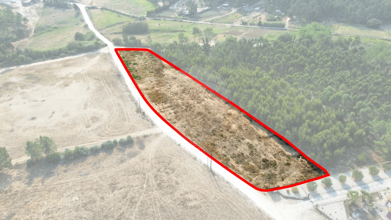 Terreno para Venda em Silveira Foto 3