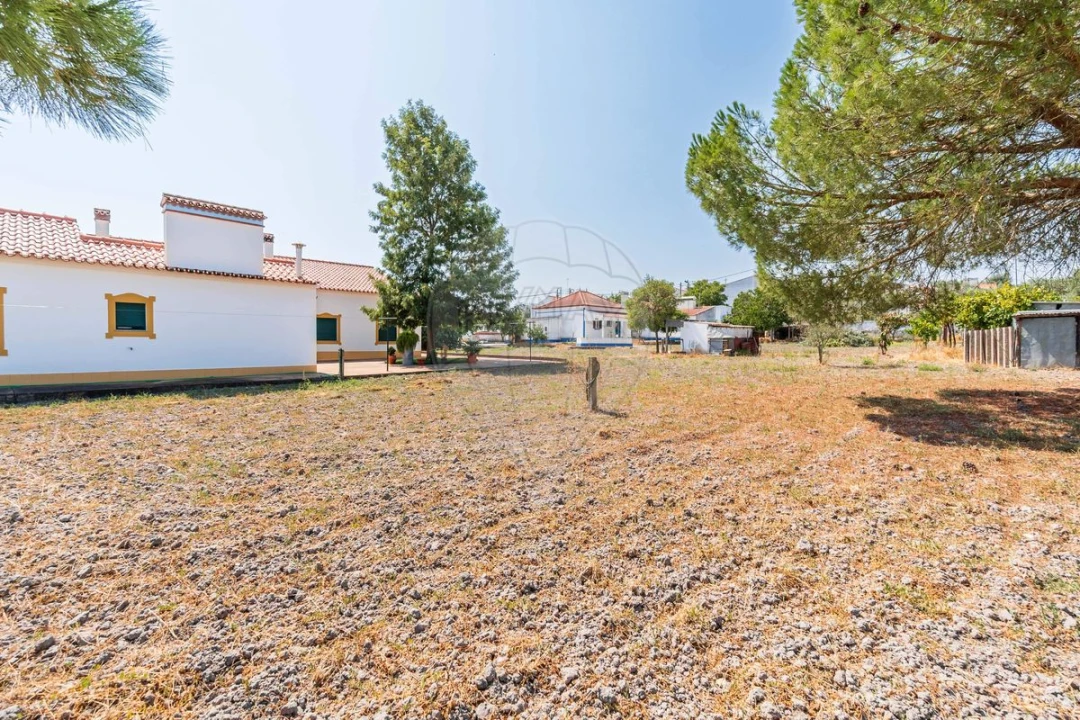 Moradia T3 para Venda em Gafanhoeira (São Pedro) e Sabugueiro Foto 13