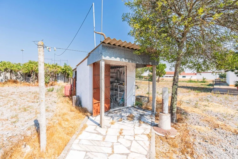 Moradia T3 para Venda em Gafanhoeira (São Pedro) e Sabugueiro Foto 12