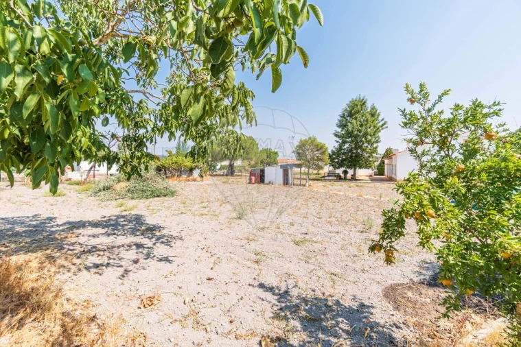 Moradia T3 para Venda em Gafanhoeira (São Pedro) e Sabugueiro Foto 11