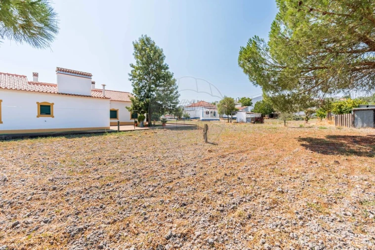 Moradia T3 para Venda em Gafanhoeira (São Pedro) e Sabugueiro Foto 13