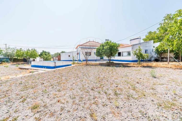 Moradia T3 para Venda em Gafanhoeira (São Pedro) e Sabugueiro Foto 8