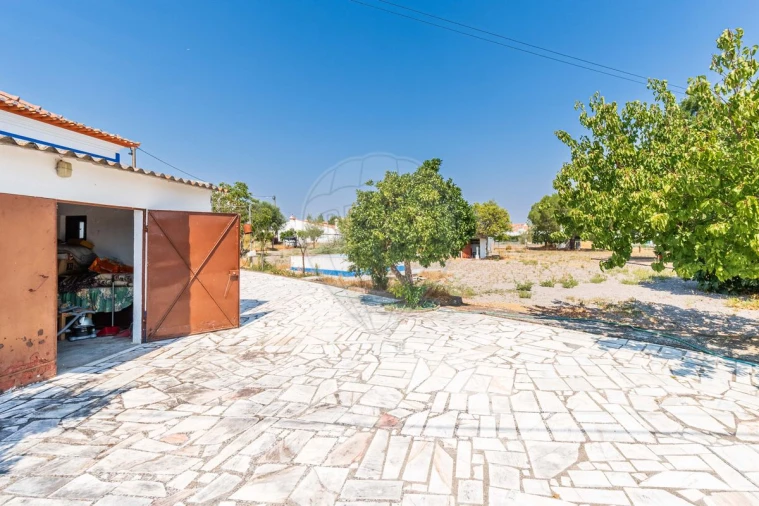 Moradia T3 para Venda em Gafanhoeira (São Pedro) e Sabugueiro Foto 10