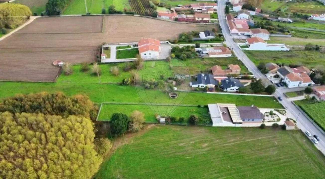 Terreno para Venda em Bustos, Troviscal e Mamarrosa Foto 4
