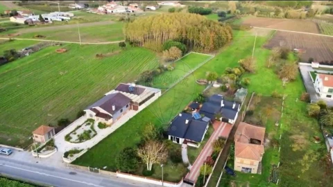 Terreno para Venda em Bustos, Troviscal e Mamarrosa