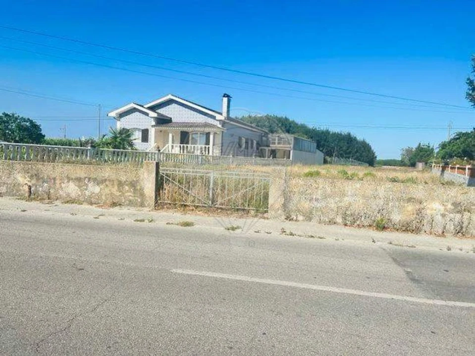 Terreno para Venda em Bustos, Troviscal e Mamarrosa Foto 2